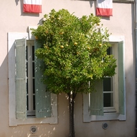 Photo de france - Saint-Chinian